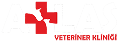 footer-logo